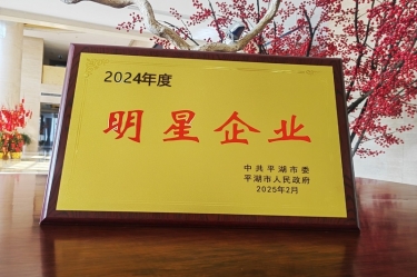 新春新景新气象 | 金沙9001以诚为本在平湖三干大会上喜摘荣誉！